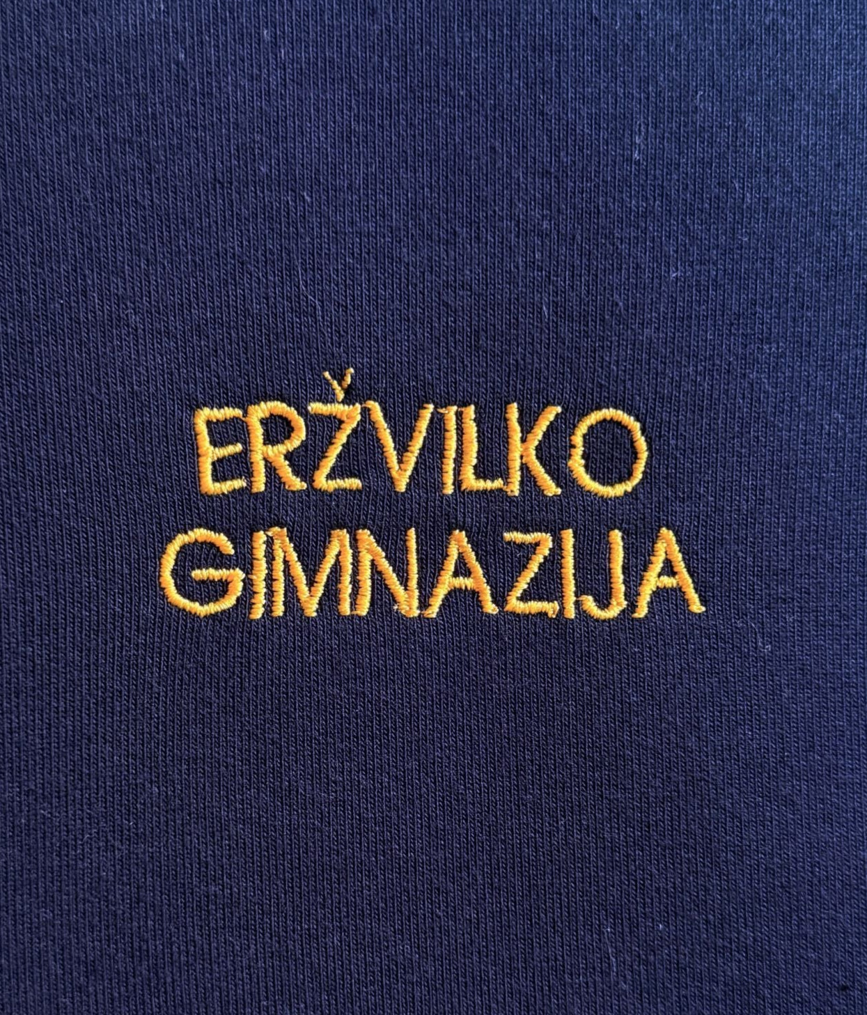 Eržvilko gimnazijos emblema